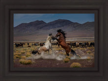 Load image into Gallery viewer, Desert Duel 5
