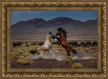 Load image into Gallery viewer, Desert Duel 5
