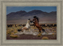 Load image into Gallery viewer, Desert Duel 5
