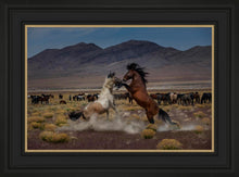 Load image into Gallery viewer, Desert Duel 5
