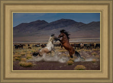 Load image into Gallery viewer, Desert Duel 5
