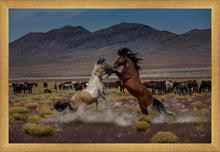 Load image into Gallery viewer, Desert Duel 5
