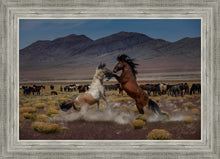 Load image into Gallery viewer, Desert Duel 5
