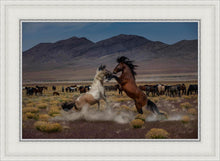 Load image into Gallery viewer, Desert Duel 5

