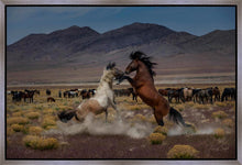 Load image into Gallery viewer, Desert Duel 5
