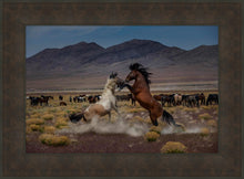 Load image into Gallery viewer, Desert Duel 5

