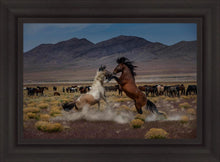 Load image into Gallery viewer, Desert Duel 5
