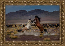 Load image into Gallery viewer, Desert Duel 5
