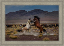 Load image into Gallery viewer, Desert Duel 5
