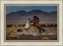 Load image into Gallery viewer, Desert Duel 5
