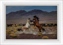 Load image into Gallery viewer, Desert Duel 5
