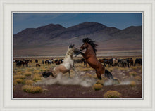 Load image into Gallery viewer, Desert Duel 5
