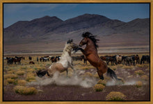 Load image into Gallery viewer, Desert Duel 5
