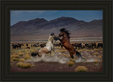 Load image into Gallery viewer, Desert Duel 5
