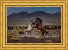 Load image into Gallery viewer, Desert Duel 5
