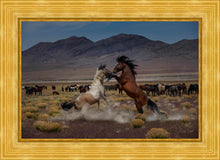 Load image into Gallery viewer, Desert Duel 5
