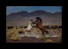 Load image into Gallery viewer, Desert Duel 5
