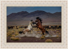 Load image into Gallery viewer, Desert Duel 5
