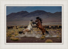 Load image into Gallery viewer, Desert Duel 5
