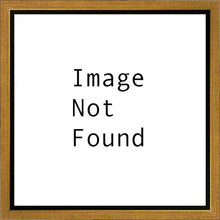 Load image into Gallery viewer, A New Day In Pocatello
