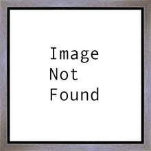 Load image into Gallery viewer, A New Day In Pocatello
