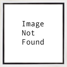 Load image into Gallery viewer, A New Day In Pocatello
