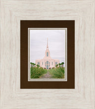 Load image into Gallery viewer, Red Cliffs Utah Palm Trees

