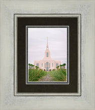 Load image into Gallery viewer, Red Cliffs Utah Palm Trees
