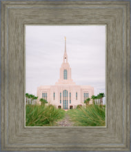 Load image into Gallery viewer, Red Cliffs Utah Palm Trees
