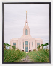 Load image into Gallery viewer, Red Cliffs Utah Palm Trees

