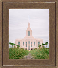 Load image into Gallery viewer, Red Cliffs Utah Palm Trees
