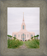 Load image into Gallery viewer, Red Cliffs Utah Palm Trees
