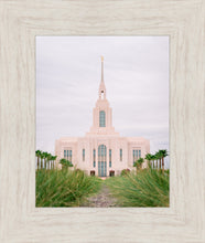 Load image into Gallery viewer, Red Cliffs Utah Palm Trees
