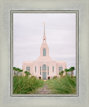 Load image into Gallery viewer, Red Cliffs Utah Palm Trees
