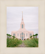 Load image into Gallery viewer, Red Cliffs Utah Palm Trees
