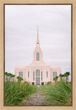 Load image into Gallery viewer, Red Cliffs Utah Palm Trees
