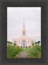 Load image into Gallery viewer, Red Cliffs Utah Palm Trees

