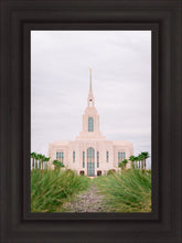 Load image into Gallery viewer, Red Cliffs Utah Palm Trees
