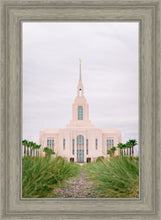 Load image into Gallery viewer, Red Cliffs Utah Palm Trees
