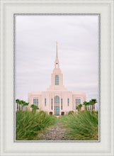 Load image into Gallery viewer, Red Cliffs Utah Palm Trees
