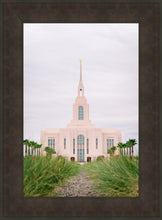 Load image into Gallery viewer, Red Cliffs Utah Palm Trees
