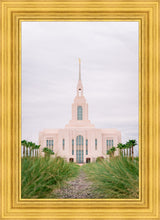 Load image into Gallery viewer, Red Cliffs Utah Palm Trees
