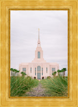Load image into Gallery viewer, Red Cliffs Utah Palm Trees
