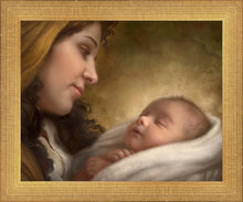 Load image into Gallery viewer, A Son is Given

