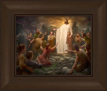 Load image into Gallery viewer, One Shepherd
