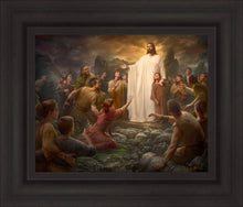 Load image into Gallery viewer, One Shepherd
