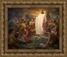 Load image into Gallery viewer, One Shepherd

