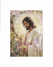 Load image into Gallery viewer, Blossom
