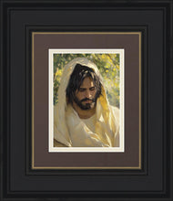 Load image into Gallery viewer, Solemn Grove
