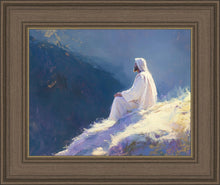 Load image into Gallery viewer, Contemplation
